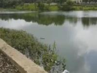 VIDEO : गणेश उत्सव तलावांसाठी ठरतोय कर्दनकाळ, निर्माल्यामुळे तलावांचे अस्तित्व धोक्यात