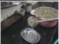 VIDEO : जळगावच्या भरीताची चव ‘लय भारी’
