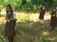 VIDEO : अकोल्यात विद्यार्थ्यांनी केला वृक्षांचा वाढदिवस साजरा