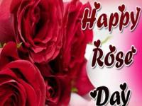 VALENTINE WEEK : हॅप्पी रोझ डे - Marathi News | VALENTINE WEEK: Happy Rose Day | Latest maharashtra Photos at Lokmat.com