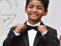 ऑस्करचा गड गेला पण 'सिंह' आला! - Marathi News | Oscars have fallen, but 'lion' came! | Latest filmy Photos at Lokmat.com
