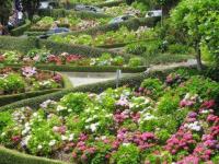 या आहेत, रंगीबेरंगी फुलांनी बहरलेल्या गल्ल्या ! - Marathi News | These are the fluttering boulevards of colorful flowers! | Latest jarahatke Photos at Lokmat.com