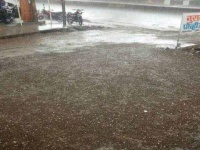 VIDEO : नाशिकमध्ये गारपिटीसह अवकाळी पाऊस, शेतक-यांचं प्रचंड नुकसान