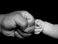 ‘बाबा’ पालकामध्ये व्हिटॅमिन डी डेफिशिअन्सी असेल तर तुमचं बाळही असू शकतं खुंटित, खुरटं आणि अशक्त - Marathi News | If you have vitamin D deficiencies in the 'Baba' parent, then your baby may be defective, lean and vulnerable | Latest national Photos at Lokmat.com