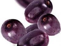 जांभूळ खाल्ल्यानं होतात 17 फायदे. मधुमेह, हदयविकार, पोटाचे विकार आणि त्वचाविकारावर जांभूळ आहे गुणकारी! - Marathi News | 17 benefits of eating purple Diabetic, heartburn, stomach disorders, and skin irradiation are useful! | Latest food Photos at Lokmat.com