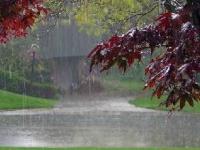 ऋतू बदलताना काय खाल? काय प्याल? - Marathi News | What do you eat when changing seasons? What a drink? | Latest food Photos at Lokmat.com