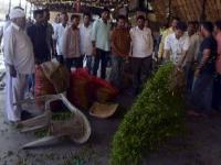 नाशिकच्या बाजारसमितीत व्यापारी-शेतकरी आमने-सामने - Marathi News | In the market of Nashik, the trader-farmer face-to-face | Latest maharashtra Photos at Lokmat.com