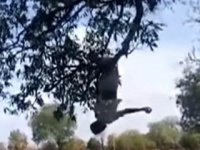 Video: शेतक-यांचे झाडाला ‘उलटे टांगो’ आंदोलन