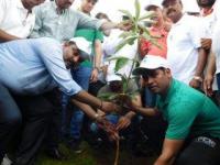 ठाण्यात 1 लाख वृक्ष लागवडीचे महाअभियान - Marathi News | Maha Abhiyan of 1 lakh trees plantation in Thane | Latest thane Photos at Lokmat.com