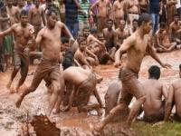 PHOTOS: गोपाला गडी या रे या..! गोव्यात चिखलकाला उत्सव - Marathi News | PHOTOS: Gopala Gadi or Ray Ya ..! The mud-festive festival in Goa | Latest jarahatke Photos at Lokmat.com