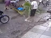 VIDEO - मुंबईत झाड अंगावर पडून जखमी झालेल्या महिलेचा मृत्यू