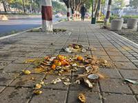 बारामतीतच भानामती...! अजितदादांच्या घराजवळ नारळ, लिंबू उतारा पूजा; निवडणुकीच्या तोंडावर... - Marathi News | Bhanamati in Baramati itself...! Coconut, lemon extract puja near Ajitdada's house; On the eve of elections... | Latest pune News at Lokmat.com बारामतीतच भानामती...! अजितदादांच्या घराजवळ नारळ, लिंबू उतारा पूजा; निवडणुकीच्या तोंडावर... - Marathi News | Bhanamati in Baramati itself...! Coconut, lemon extract puja near Ajitdada's house; On the eve of elections... | Latest pune News at Lokmat.com