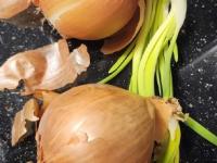 पावसाळ्यात कांदे-बटाटे लवकर सडतात-हिरवे कोंब फुटतात? ३ टिप्स, कांदे-बटाटे टिकतील महिनाभर - Marathi News | How to store onions and potatoes during the rainy season Tips to prevent onions and potatoes from rotting in monsoon | Latest sakhi Photos at Lokmat.com