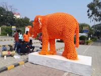 नागपुरात आज सकाळी वर्ल्ड ऑरेंज फेस्टिव्हलचा शुभारंभ उत्साहात पार पडला. संर्त् याची पाहणी करताना केंद्रीय मंत्री नितीन गडकरी, मुख्यमंत्री देवेंद्र फडणवीस व लोकमत एडिटोरियल बोर्डाचे चेअरमन व माजी खासदार विजय दर्डा. - Marathi News | The inauguration of the World Orange Festival in Nagpur this morning has got excited. Union Minister Nitin Gadkari, Chief Minister Devendra Fadnavis and Chairman of Lokmat Editorial Board and former MP Vijay Darda were examining the treaty. | Latest nagpur Photos at Lokmat.com