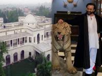 सैफच्या पतौडी पॅलेसच्या चारही बाजूने झळकतो नवाबी लूक, उगाच ८०० कोटी किंमत सांगतात का लोक! - Marathi News | Step inside Saif Ali Khan, Kareena Kapoor’s luxurious Pataudi Palace with these pictures | Latest filmy Photos at Lokmat.com