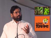 बाळासाहेबांच्या शिवसेनेने 'पिंपळाचं झाड' निवडणूक चिन्ह म्हणून का मागितलं?, कारण... - Marathi News | Why did Eknath Shinde Balasaheb's Shiv Sena demand 'peepal tree' as an election symbol? | Latest maharashtra Photos at Lokmat.com