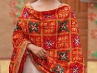 साधी कुर्ती दिसेल रॉयल, पाहा ५ फुलकारी दुपट्टे-पंजाबी रंगांची मस्त उधळण-दिसाल एकदम स्टायलिश सोनी कुडी - Marathi News | best Phulkari dupatta designs for simple kurti how to style Phulkari dupatta with kurti trending Phulkari dupatta designs for women give a royal look to kurti with dupatta | Latest sakhi Photos at Lokmat.com