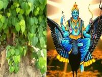 शनी अमावास्या: असे करा शनिदेवाला प्रसन्न; मिळवा सुख-समृद्धी, मान-सन्मान - Marathi News | shanishchari amavasya 2022 do these tone totke on shanishchari amavasya and economic prosperity will come in life solar eclipse | Latest bhakti Photos at Lokmat.com