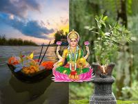पितृपक्ष: तुळस ठरेल भाग्यकारक, ‘हे’ उपाय करा; शुभ-लाभ मिळवा, पितरांसह होईल लक्ष्मी कृपा! - Marathi News | pitru paksha 2024 should do these some tulsi remedies and get prosperity benefits tulsi upay pitru paksha in marathi | Latest bhakti Photos at Lokmat.com