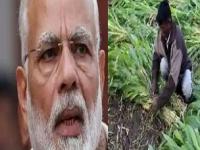 शेतकऱ्यांसाठी खुशखबर! PM Kisan योजनेची लाभार्थी यादी जारी; या स्टेप्स फॉलो करा अन् आपले नाव तपासा! - Marathi News | pm kisan yojana how to check beneficiary status of pm kisan 15th instalment | Latest business Photos at Lokmat.com