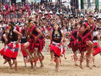 हॉर्नबिल फेस्टिवल नागालॅंडशिवाय 'या' राज्यात होणार साजरा - Marathi News | Hornbill Festival will be celebrated tripura state | Latest travel Photos at Lokmat.com