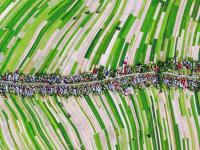 एकाच रस्त्याच्या आजूबाजूला राहतात या गावातील लोक, आजूबाजूला शेतीत शेती - Marathi News | Watch How All 6,000 Residents Of This Polish Town Live Together On The Same Street | Latest jarahatke Photos at Lokmat.com