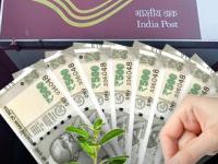 Post Office च्या 'या' स्कीममध्ये वर्षाला ₹५०,००० जमा करा; मॅच्युरिटीवर मिळतील १३ लाख, व्हाल मालामाल - Marathi News | If you deposit rs 50000 per year in this scheme of Post Office how much amount will you get on maturity you will earn huge income | Latest business Photos at Lokmat.com