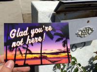 दिलजले! ब्रेक अपनंतर असेही वागतात लोक; फोटो पाहून, जाल चक्रावून... - Marathi News | 15 Different Ways That People Treated Their Exes | Latest social-viral Photos at Lokmat.com