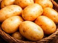 उन्हाळ्यात वेफर्स-पापडासाठी भरपूर बटाटे आणले? ५ टिप्स -बटाटे काळे पडणार नाहीत, मोड येणार नाहीत.. - Marathi News | How to store potatoes for summer long Time Prevent potatoes from sprouting in summer Best way to store potatoes for sun-dried wafers Kitchen hacks to keep potatoes fresh and firm | Latest sakhi Photos at Lokmat.com