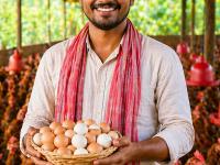 कुक्कुटपालन व्यवसाय सुरू करण्यासाठी किती खर्च येतो? १०० कोंबड्यांपासून किती नफा कमवू शकता? जाणून घ्या... - Marathi News | Poultry Farm Business: How much does it cost to start a poultry farming business? | Latest business Photos at Lokmat.com