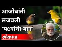 आजोबांनी सजवली 'पक्ष्यांची बाग' | Nandu Kulkarni Birds Lover | Pune News