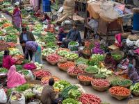 CoronaVirus: भाज्या, धान्य, दूध घेताना काय काळजी घ्याल? - Marathi News | coronavirus precautions needs to taken while purchasing and eating vegetables grains milk kkg | Latest health Photos at Lokmat.com