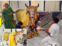 गाय घरात येताच पालटलं मुंबईतील व्यावसायिकाचं नशीब, तिची ठेवली जाते शाही बडदास्त, राहते एक कोटीच्या घरात - Marathi News | As soon as the cow comes home, the fortune of a businessman in Mumbai changes, she is kept in a royal palace, lives in a house worth one crore. | Latest national Photos at Lokmat.com