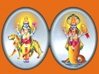 Rahu-Ketu: ‘या’ व्यक्तींवर पडत नाही राहु-केतुचा प्रतिकूल प्रभाव; शुभलाभ, धनवृद्धी शक्य! जाणून घ्या - Marathi News | rahu ketu transit 2022 know about most beneficial auspicious and lucky houses of rahu ketu in your birth horoscope | Latest bhakti Photos at Lokmat.com