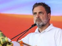 बिहारचा निकाल खरोखरच धक्कादायक; पराभवाची सखोल समीक्षा करणार: राहुल गांधी - Marathi News | Bihar results are truly shocking; Will thoroughly review the defeat: Rahul Gandhi | Latest national News at Lokmat.com बिहारचा निकाल खरोखरच धक्कादायक; पराभवाची सखोल समीक्षा करणार: राहुल गांधी - Marathi News | Bihar results are truly shocking; Will thoroughly review the defeat: Rahul Gandhi | Latest national News at Lokmat.com