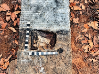 गाळ काढताना विहिरीत हाती लागली ‘गधेगळ’, चौदाव्या शतकातील ऐतिहासिक ठेवा जोपासणार - Marathi News | A 'donkey' was found in a well while removing silt, a historical monument from the 14th century will be preserved | Latest raigad News at Lokmat.com