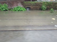 Central Railway Update: मुसळधार पावसानं हार्बरवरचा टिळकनगर-कुर्लादरम्यानचा मार्ग पाण्याखाली