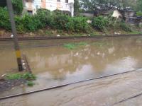 मुंबईत पावसाची जोरदार बॅटिंग - Marathi News | Heavy rain started in Mumbai waterlogged at hindmata | Latest mumbai Photos at Lokmat.com