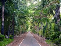 जैवविविधतेने नटलेले आहे हे नागपूरचे राजभवन - Marathi News | The Raj Bhavan of Nagpur is bio-diversity | Latest nagpur Photos at Lokmat.com