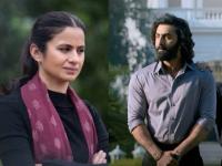 'मिर्झापूर'मध्ये का काम केलंस? 'ॲनिमल'वर टीका करणाऱ्या अभिनेत्रीला नेटकऱ्यांचा थेट सवाल - Marathi News | rasika duggal says wont do film like animal because it celebrates misogyny netizens asked what about mirzapur | Latest filmy News at Lokmat.com