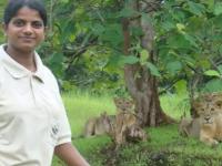 कौतुकास्पद! हजारो प्राण्यांना जीवनदान देणाऱ्या 'रसिला वाढेर'!! - Marathi News | World Lion Day: Meet Rasila Vadher, The Lion Queen Of Gir | Latest jarahatke Photos at Lokmat.com