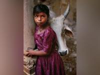 जेव्हा माणसं माणसाच्या प्रेमाला समजू शकत नाहीत, तेव्हा प्राणी 'असं' प्रेम दाखवतात! - Marathi News | These photos explore the relationship between animals and humans | Latest social-viral Photos at Lokmat.com