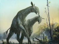 डायनॉसोरच्या युगात होता हा विशाल प्राणी, वैज्ञानिक अजूनही शोधू शकले नाही त्यांच्याबाबतचं पूर्ण रहस्य - Marathi News | The Largest Beasts to Walk the Earth paraceratherium | Latest jarahatke Photos at Lokmat.com