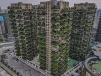 बोंबला! चीनने डासांपासून देशात पसरवली नवीन महामारी, लोक झालेे हैराण... - Marathi News | China grew forest in housing project in new experiment fails after mosquitos spread plagues diseases | Latest jarahatke Photos at Lokmat.com