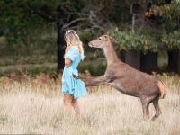 सेल्फी घेण्यासाठी हरणाजवळ गेली तरूणी, पुढे जे झालं त्याची तिने कल्पनाही केली नसेल... - Marathi News | Girl attacked by wild deer after going close in Richmond Park | Latest jarahatke Photos at Lokmat.com