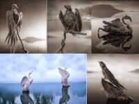 अरे बाप रे बाप! Tanzania खतरनाक सरोवर; यातील पाण्याला स्पर्श केल्यास कुणीही बनतं दगड, जाणून घ्या रहस्य... - Marathi News | Tanzania mysterious lake can transform everything into stone | Latest jarahatke Photos at Lokmat.com