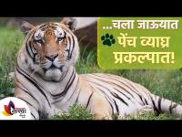 चला जाऊयात पेंच व्याघ्र प्रकल्पात | Pench Tiger Reserve | Pench Tiger Reserve Nagpur | Lokmat Sakhi