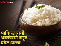 कोणत्या देशात भात सगळ्यात जास्त खाल्ला जातो? आकडेवारी वाचून व्हाल अवाक्... - Marathi News | Top 5 most rice eating country in the world | Latest food Photos at Lokmat.com