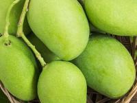 घरच्याघरी 'असे ' छान पिकतील रसाळ आंबे, केमिकलची गरज नाही - पारंपरिक सोपी पद्धत - Marathi News | how to ripen raw mango without chemical 5 simple hacks at home traditional method to store and ripen yellow sweet mango | Latest sakhi Photos at Lokmat.com