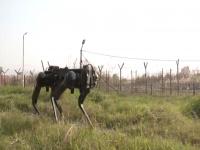 दहशतवाद्यांना भारतात घुसखोरी करणं भारी पडणार; 'रोबोटिक खेचर'ची नजर, सीमेवर जवानांना मिळाला साथी - Marathi News | Indian Army is using robotic mules or Multi-Utility Legged Equipment (MULE) to enhance surveillance and logistics along the Line of Control (LoC) | Latest national Photos at Lokmat.com